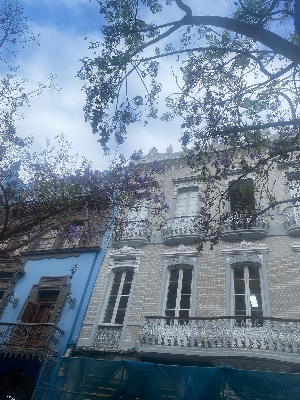 Diseño Residencial y Fachadas